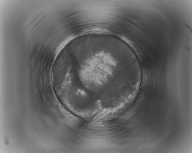 X0000099941474200806131414