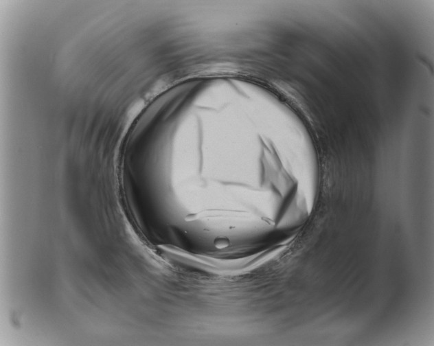 X0000099941475200806131414