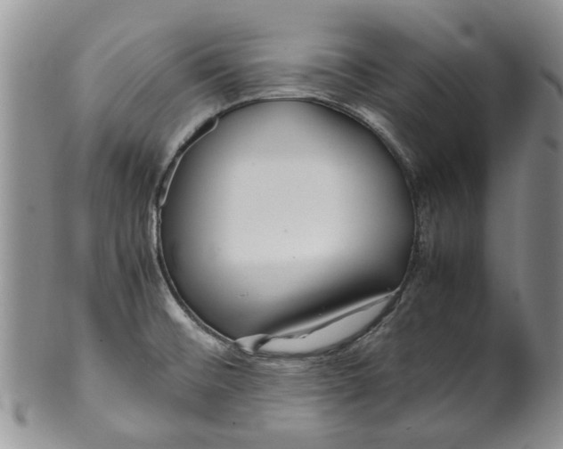 X0000099941476200806131414