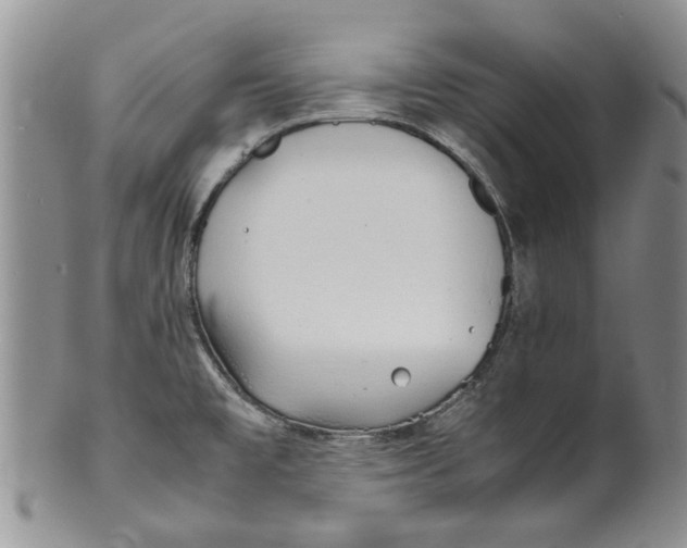 X0000099941477200806131414