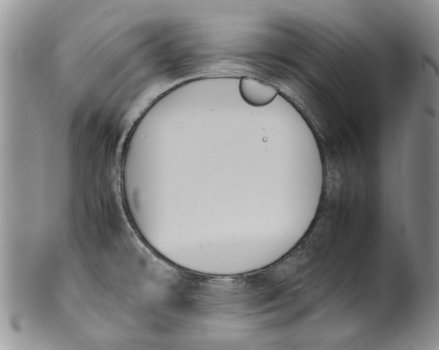 X0000099941478200806131414