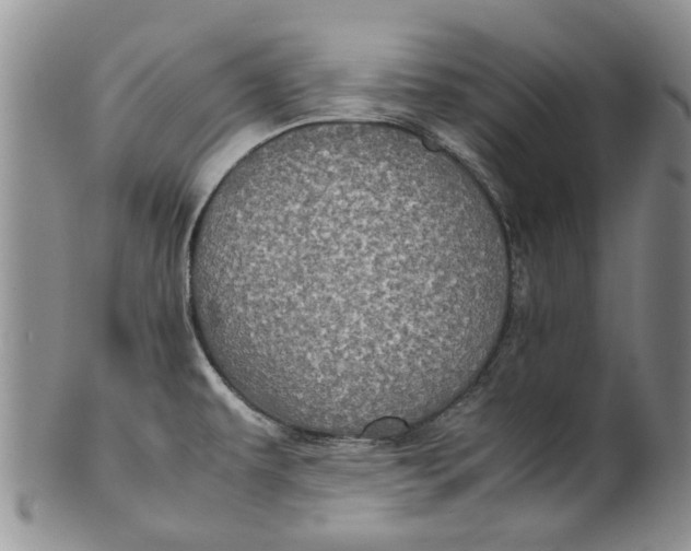 X0000099941479200806131414