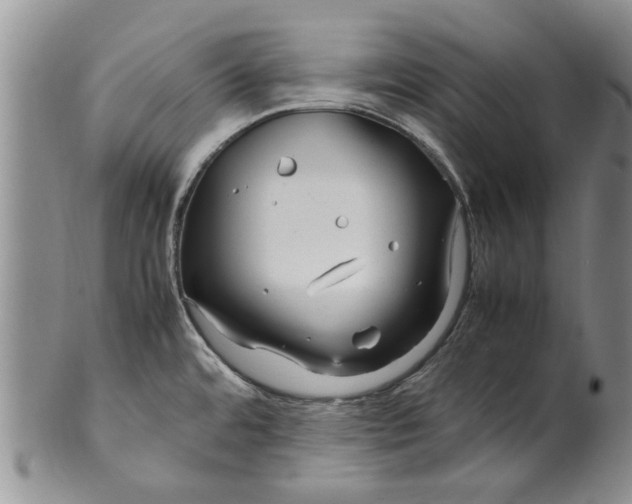 X0000099941480200806131414