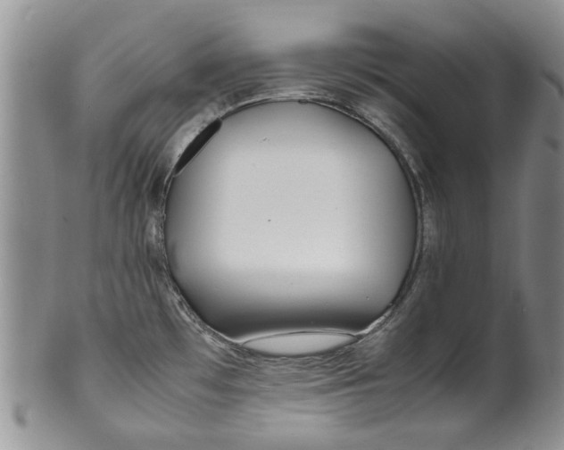 X0000099941481200806131414