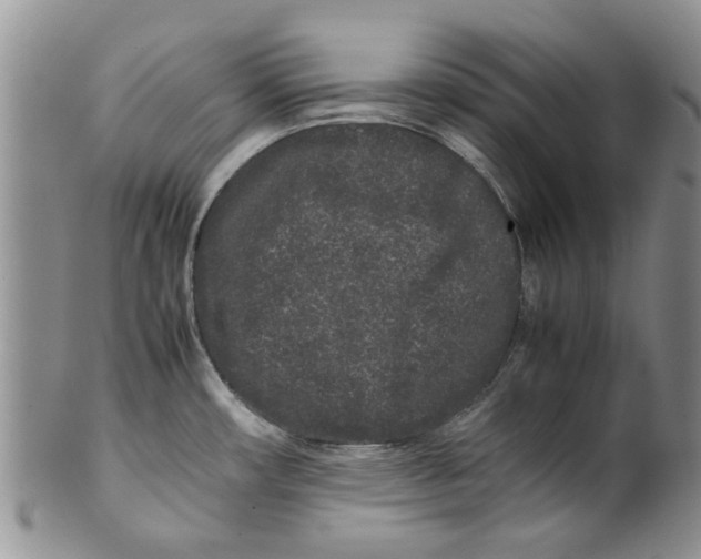 X0000099941482200806131414