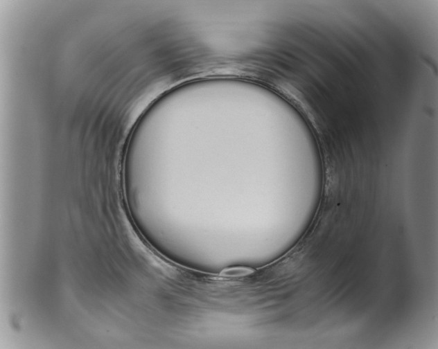 X0000099941483200806131414