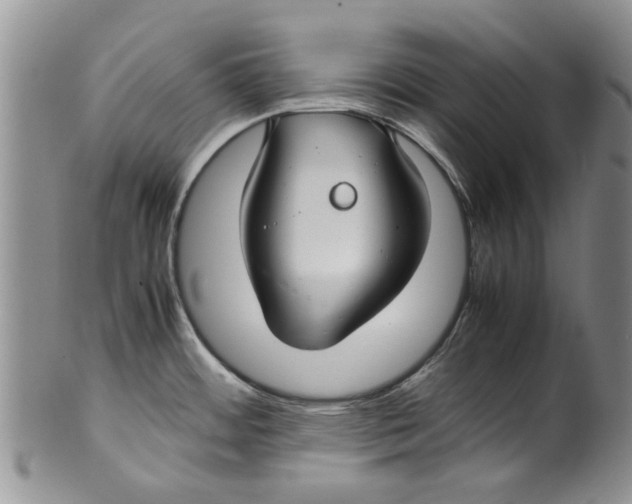 X0000099941484200806131414