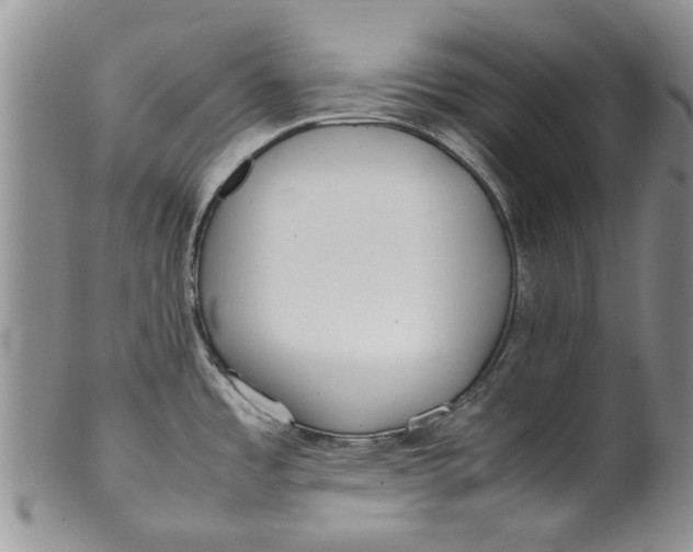 X0000099941485200806131414