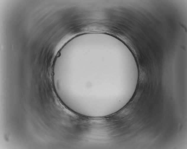 X0000099941486200806131414