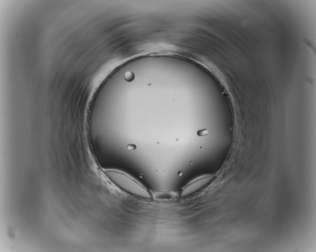 X0000099941488200806131414