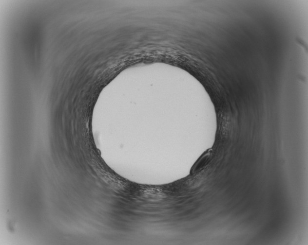 X0000099941489200806131413