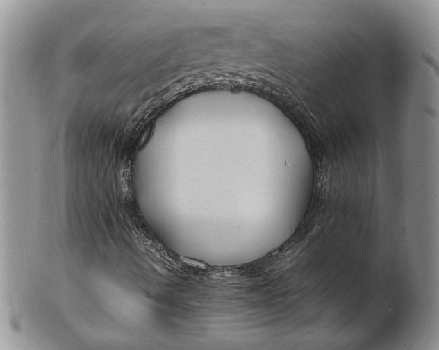 X0000099941490200806131413