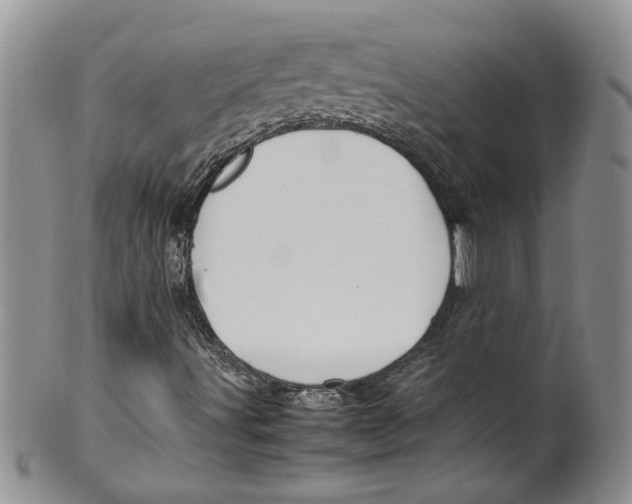 X0000099941491200806131413