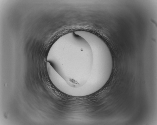 X0000099941492200806131413