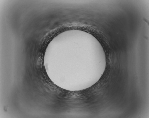 X0000099941493200806131413