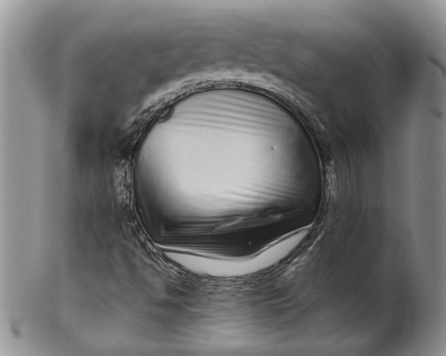 X0000099941494200806131413