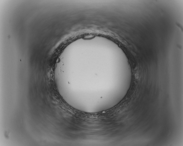 X0000099941495200806131413