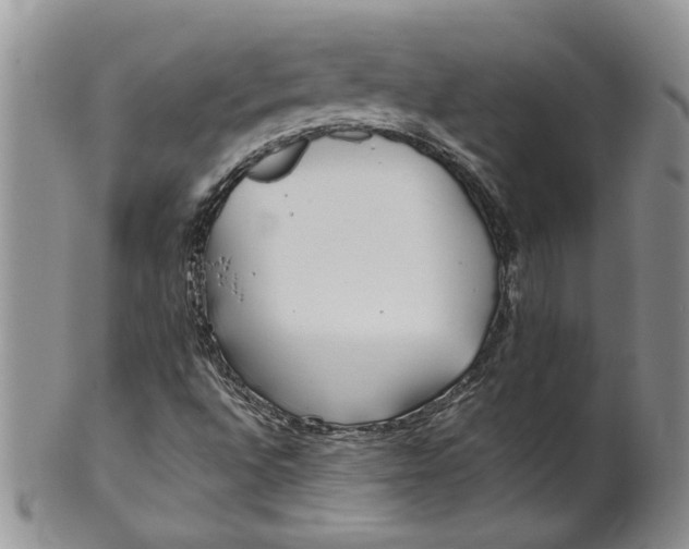 X0000099941496200806131413