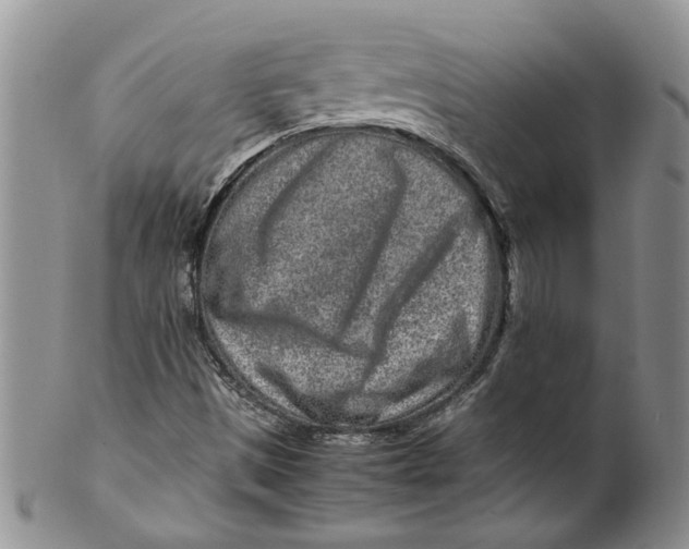 X0000099941497200806131413