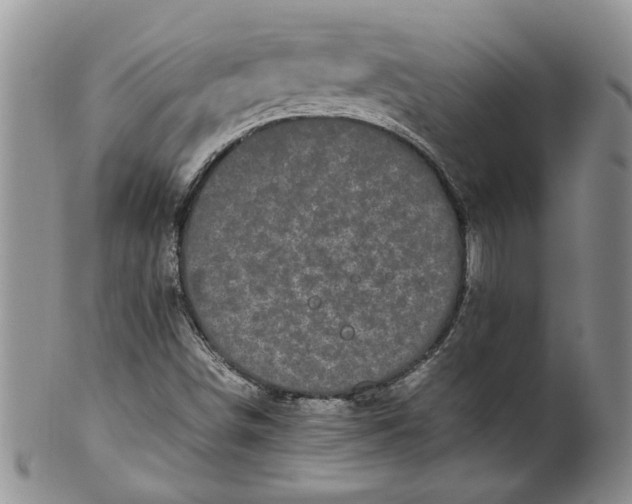 X0000099941498200806131413