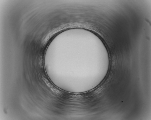 X0000099941499200806131413