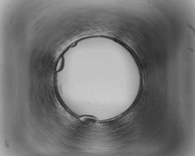 X0000099941500200806131413