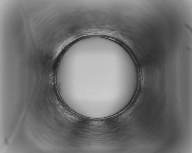 X0000099941501200806131413