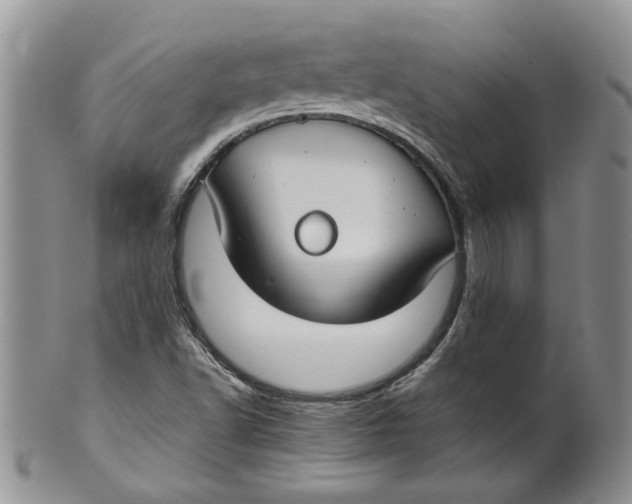 X0000099941502200806131413