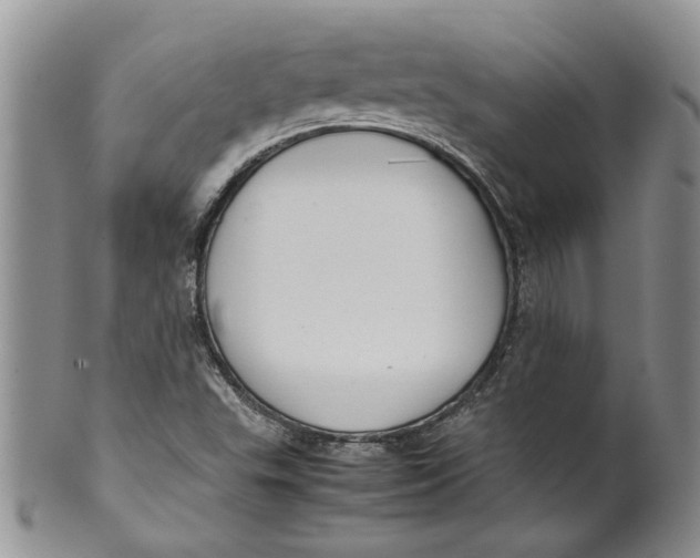 X0000099941503200806131413