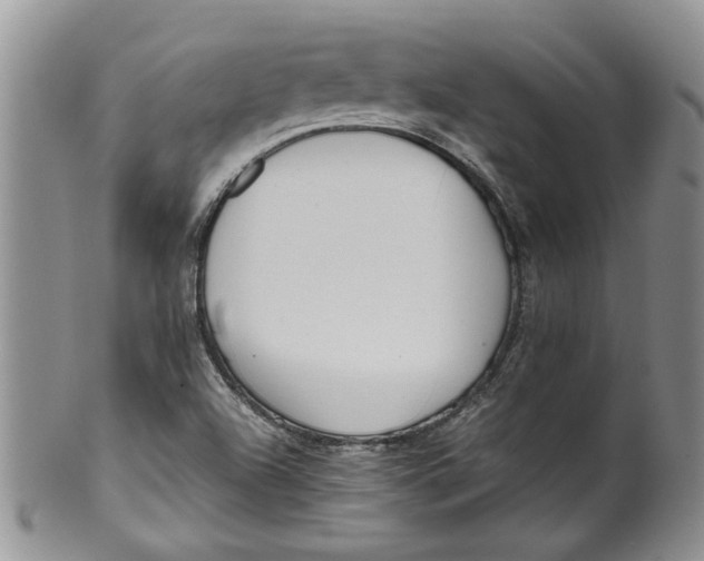 X0000099941504200806131413