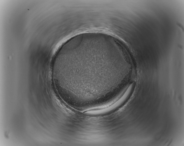 X0000099941506200806131413