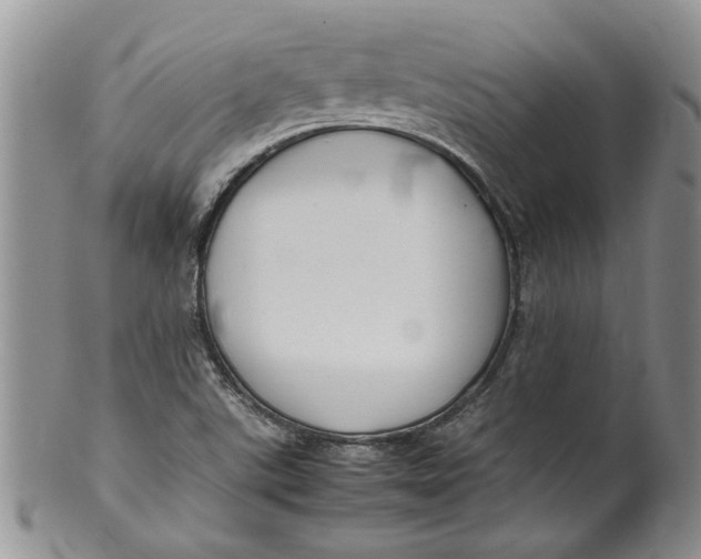 X0000099941507200806131413