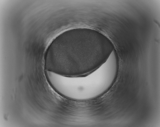 X0000099941508200806131413