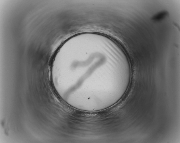 X0000099941509200806131413