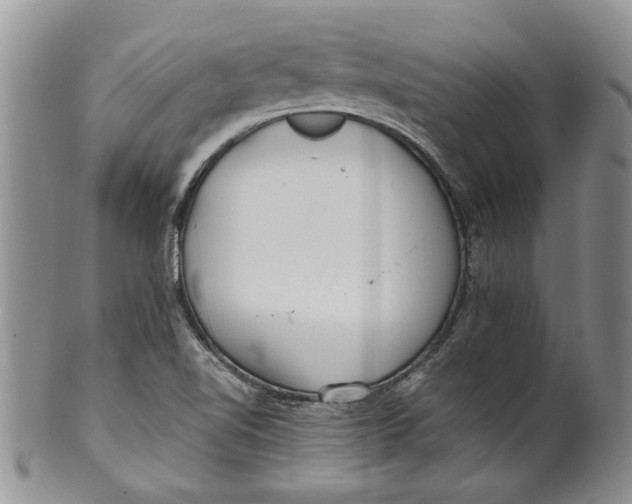 X0000099941510200806131413