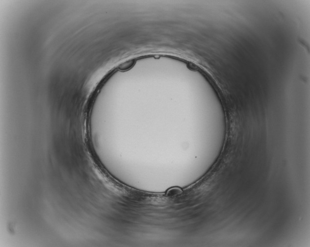 X0000099941511200806131413