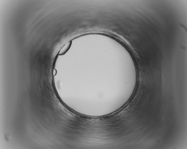 X0000099941512200806131413