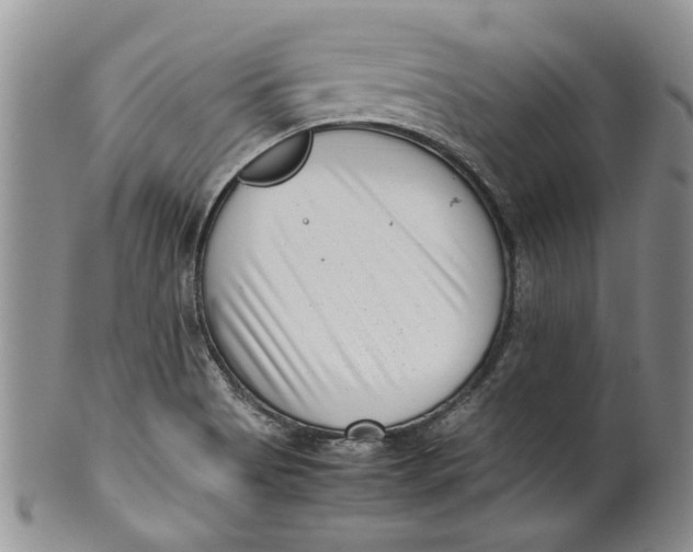 X0000099941513200806131413