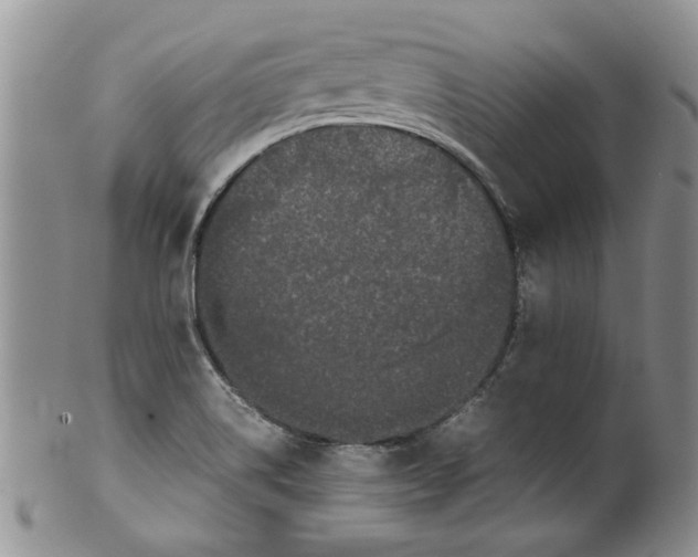 X0000099941514200806131413