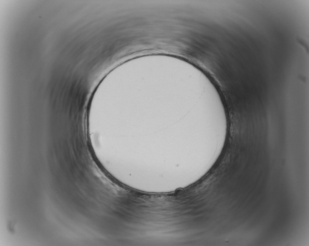 X0000099941516200806131413