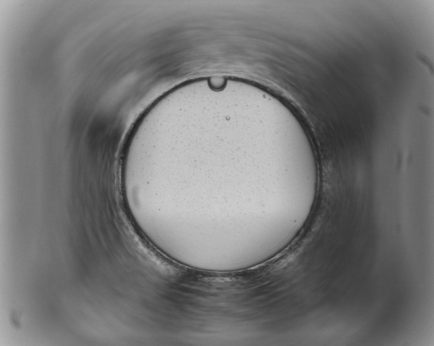 X0000099941517200806131414