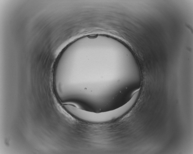 X0000099941518200806131414