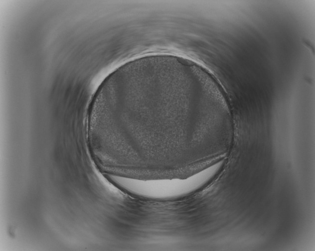 X0000099941519200806131414