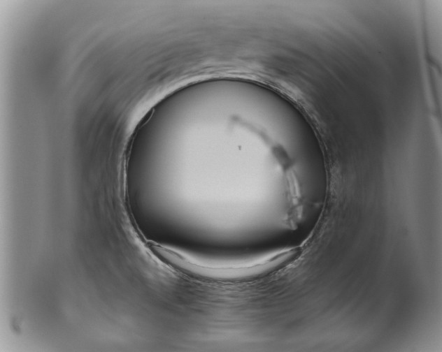 X0000099941520200806131414