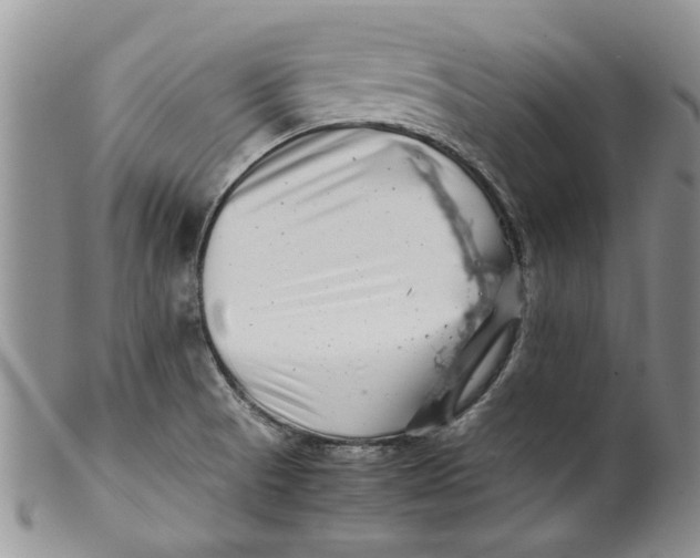 X0000099941521200806131414