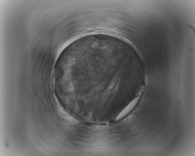 X0000099941522200806131414