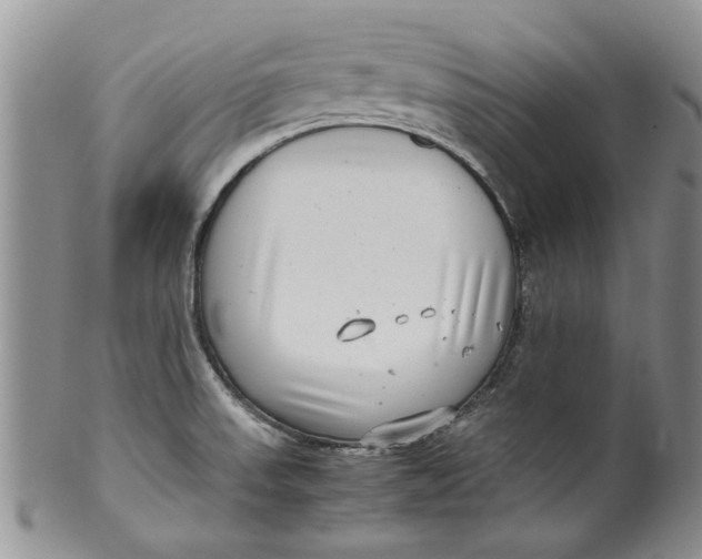 X0000099941523200806131414