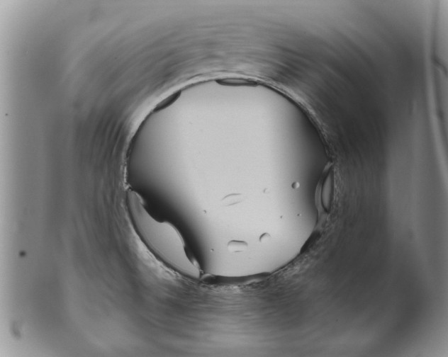 X0000099941524200806131414