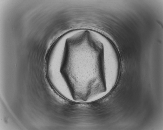 X0000099941525200806131414