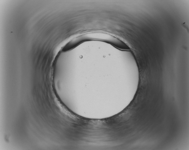 X0000099941526200806131414